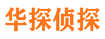 盐津侦探公司